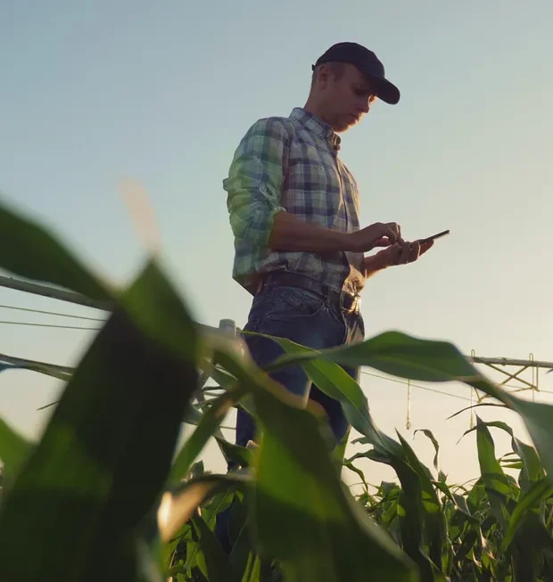 tocrop consulting for Farmers, Growers & Landowners