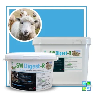 SW Digest R - MG