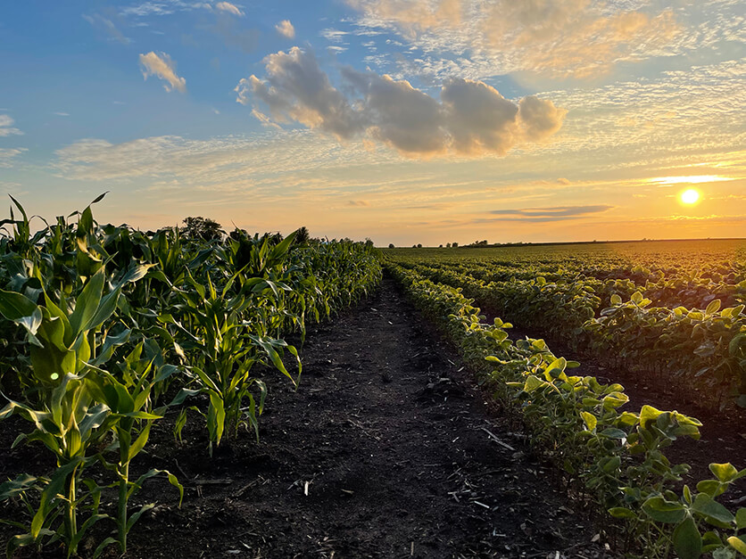 tocrop decaarbonized agriculture