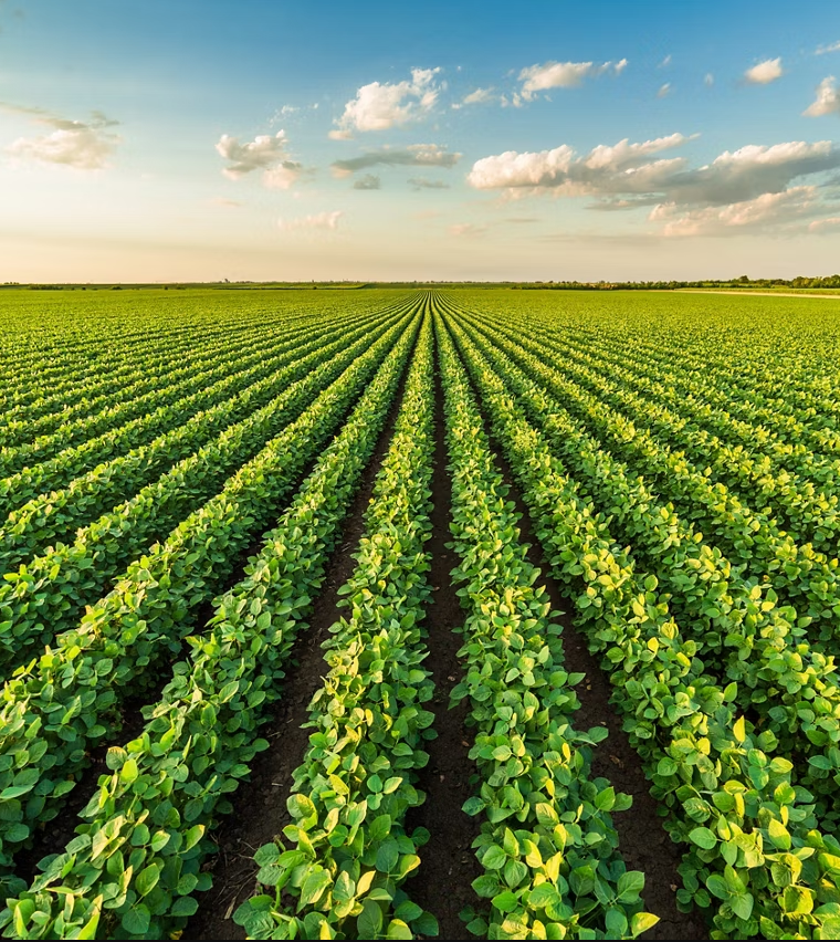 tocrop consulting investor agriculture