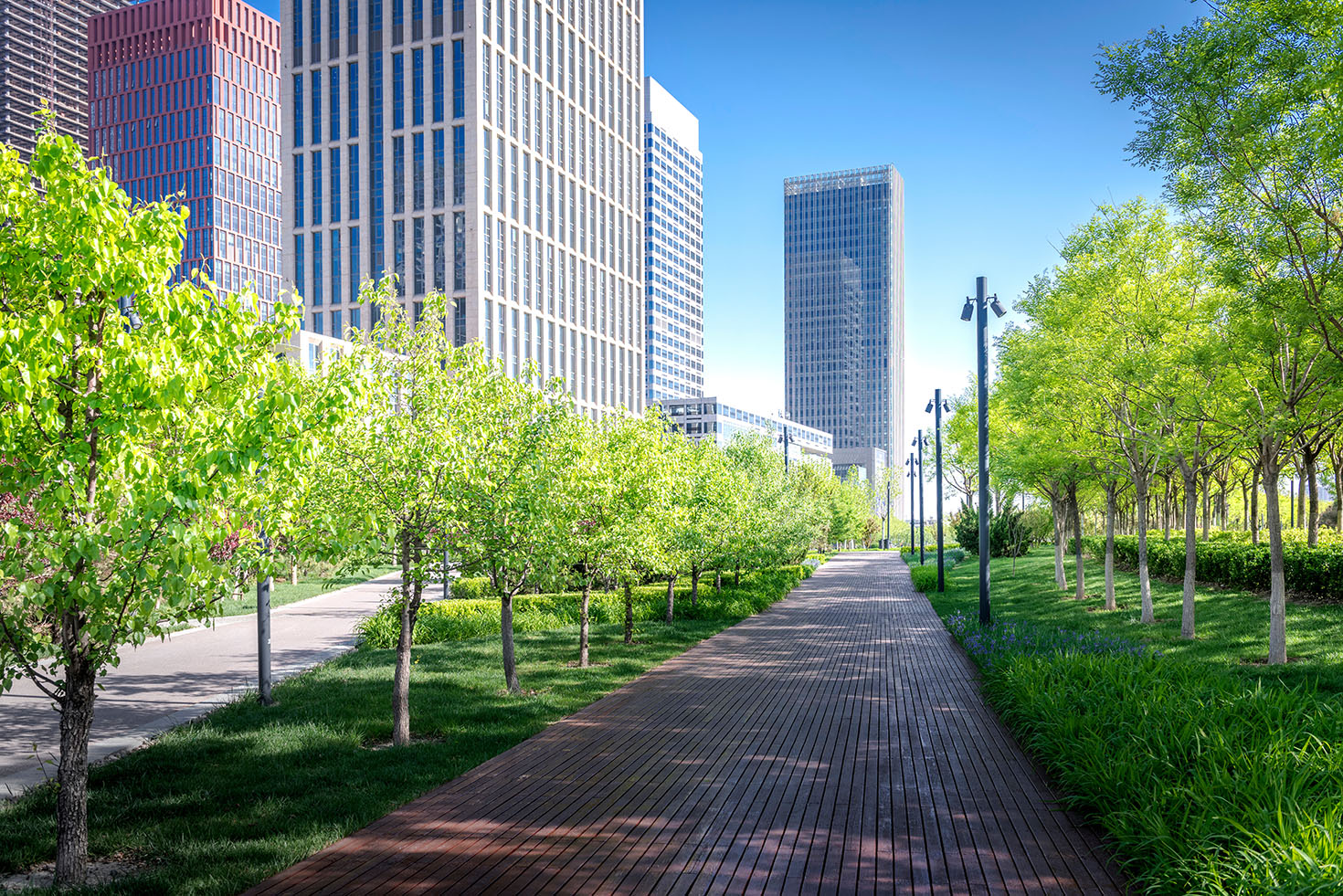 green city consulting tocrop