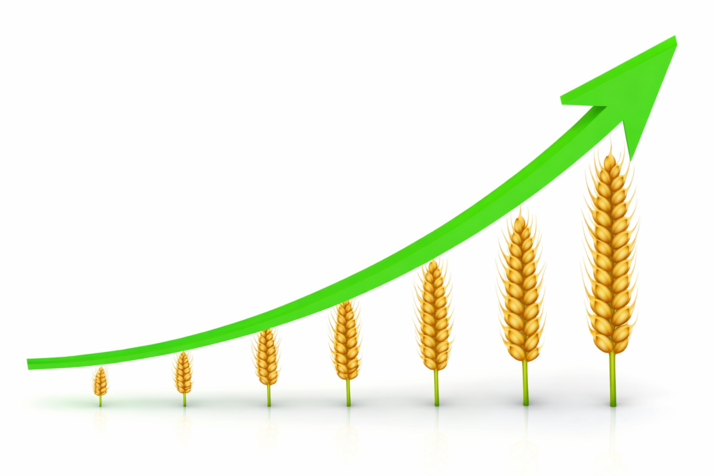 e7efd6a9-3264-4008-a044-d81cb9d806e3 financement long terme solutions commercial paiement tocrop sarl